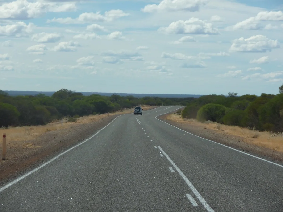 Following the curves through green outback after the rains
