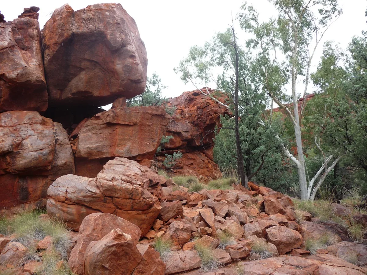 Striking rock formations meet desert vegetation