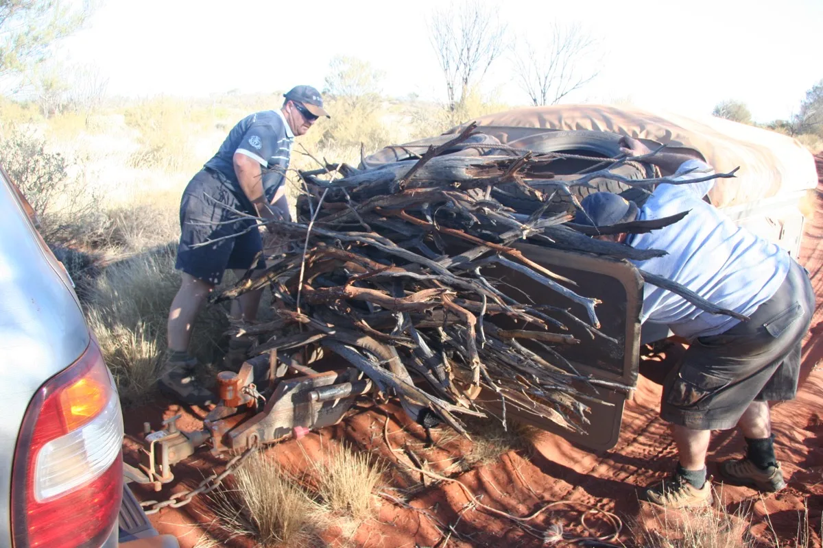 Gathering firewood for the evening campfire in the outback