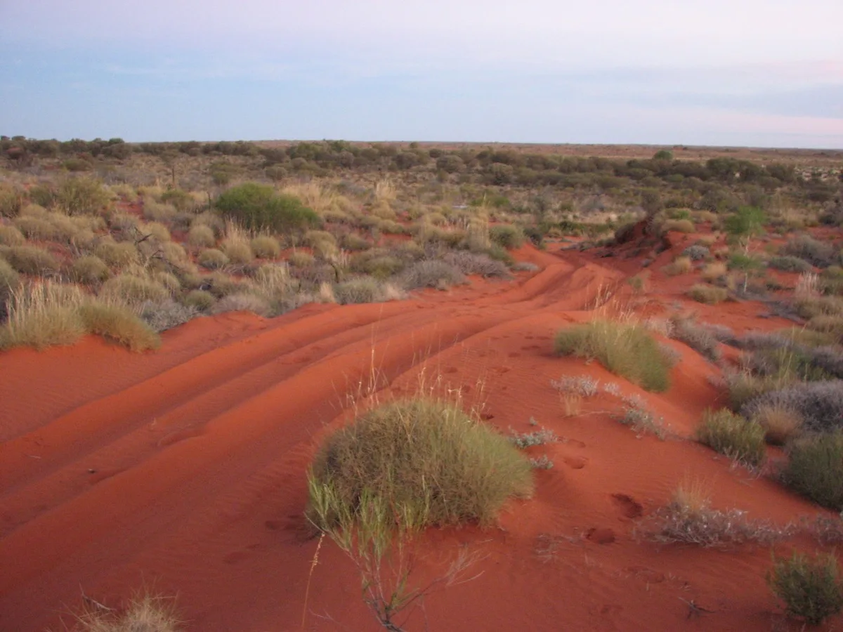Sandy dunes and challenging terrain in the red centre