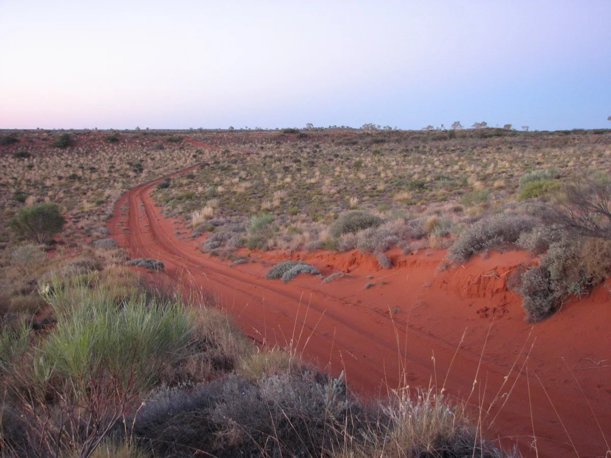 Twilight track beckoning adventurers into the vast outback
