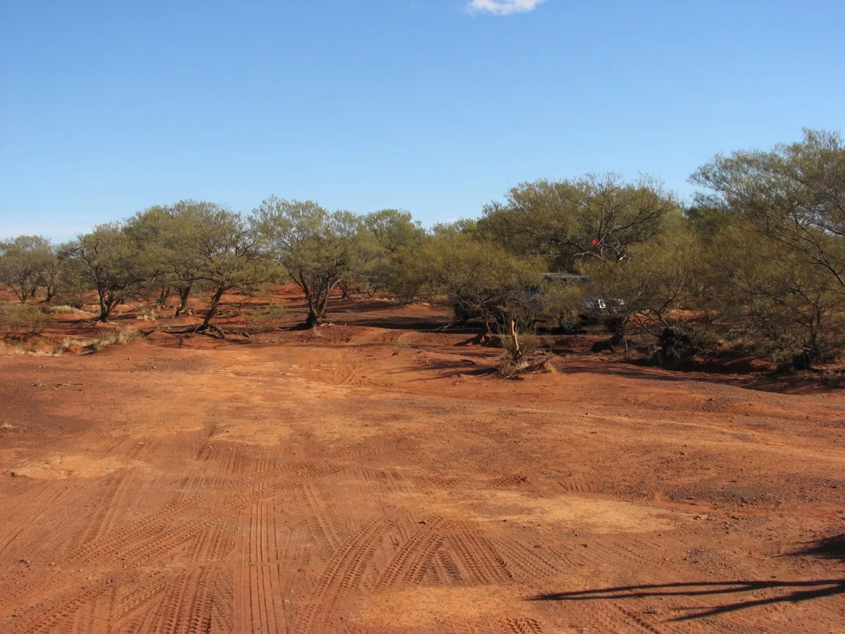 Free camping among the mulga in Australia's red centre