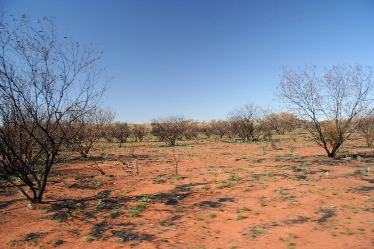 Red earth and resilient mulga trees define the outback landscape