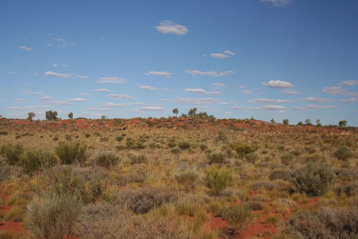 Golden grasses and red ridges paint the outback horizon