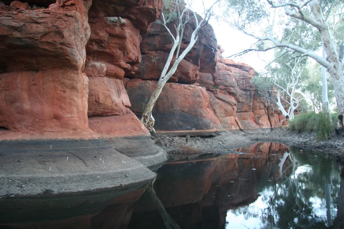 Tranquil desert waterhole mirrors red cliffs and ghost gums