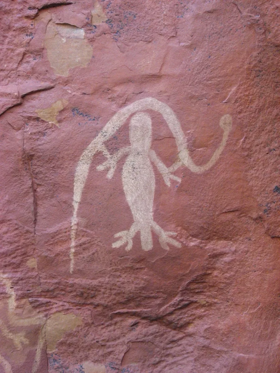 Detailed view of preserved Indigenous rock painting