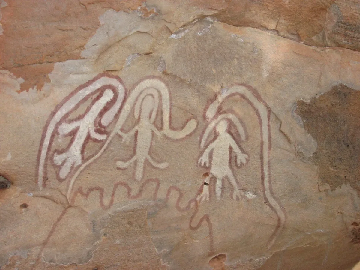 Detailed Aboriginal X-ray art showcases ancient artistic mastery