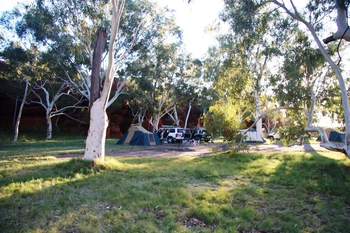 Shaded riverside camping beneath ancient gums near red cliffs
