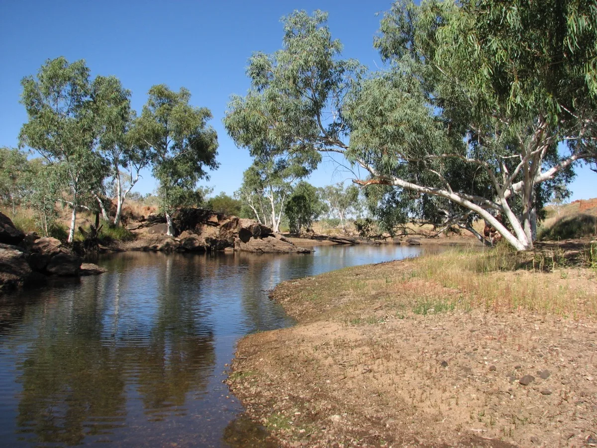 Outback oasis: where water brings life to red earth
