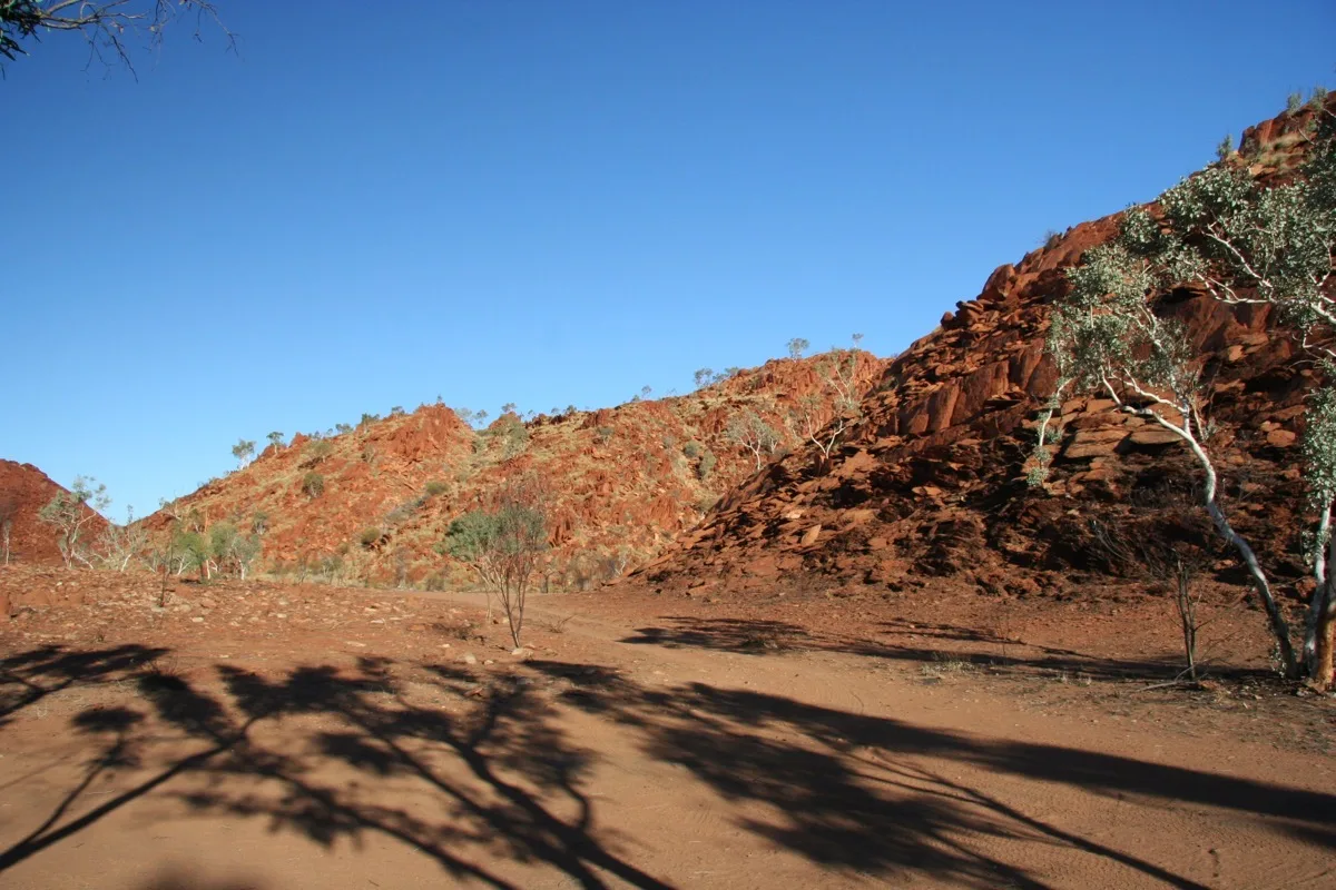Majestic red cliffs tower over the rugged outback landscape