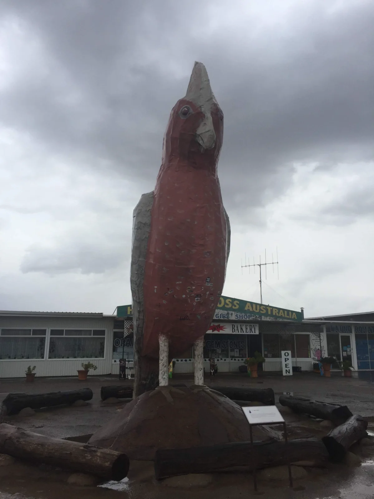 Meet the Big Galah - Kimba's famous pink roadside attraction