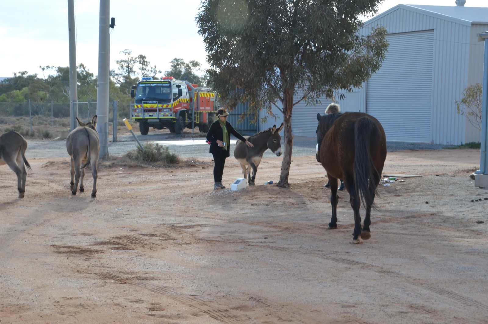 Meeting the local residents in Silverton's dusty streets