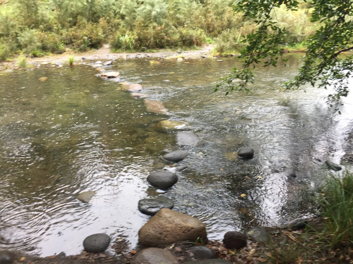 Stepping stones across the creek to the Rock Pool – a slightly precarious crossing.