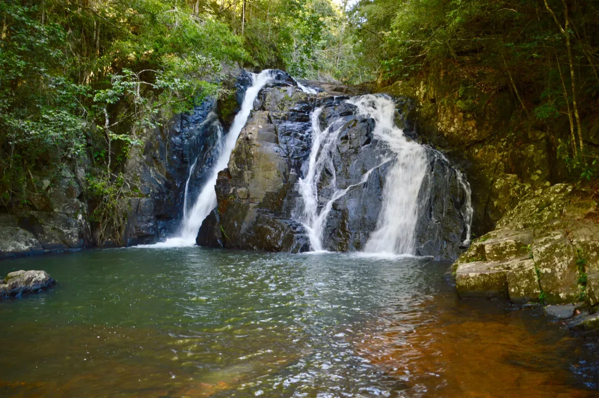 The gentle waters of Dinner Falls, a cool and refreshing spot in the Queensland heat.