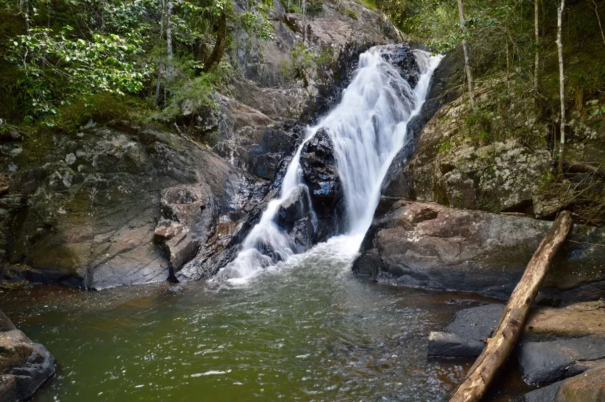 Another perspective of Dinner Falls, showcasing the smooth rocks and surrounding greenery.