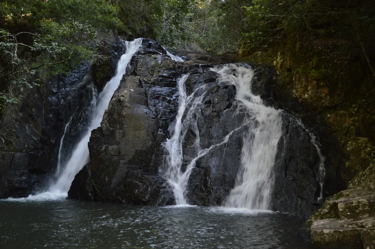 The main waterfall at Dinner Falls, a series of cascades that tumble over the dark, basalt rocks.