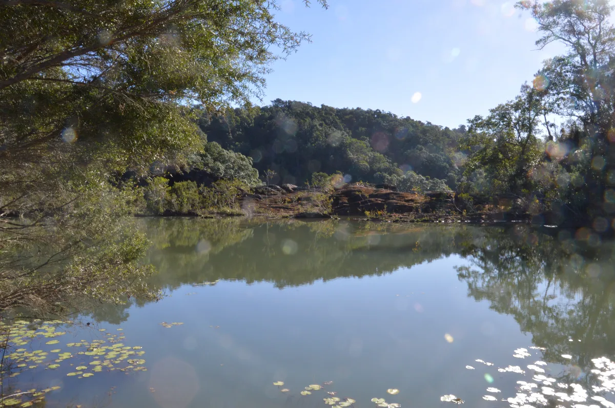 The glassy surface of a calmer section of the Tully River reflects the surrounding landscape, offering a peaceful counterpoint to the rugged gorge.