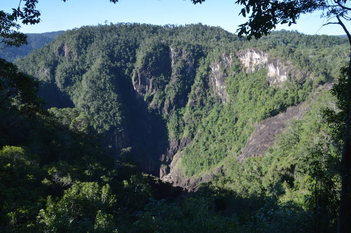 A wide perspective showcasing the deep ravine of Tully Gorge, swathed in lush green rainforest.