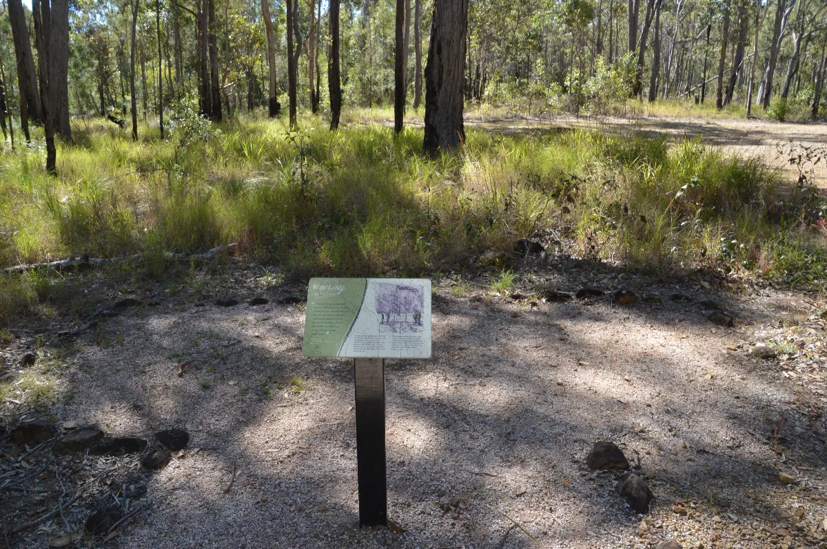 Another information board amidst the remnants of the World War II training camp at Millstream Falls, offering insight into the daily life of the soldiers stationed here.