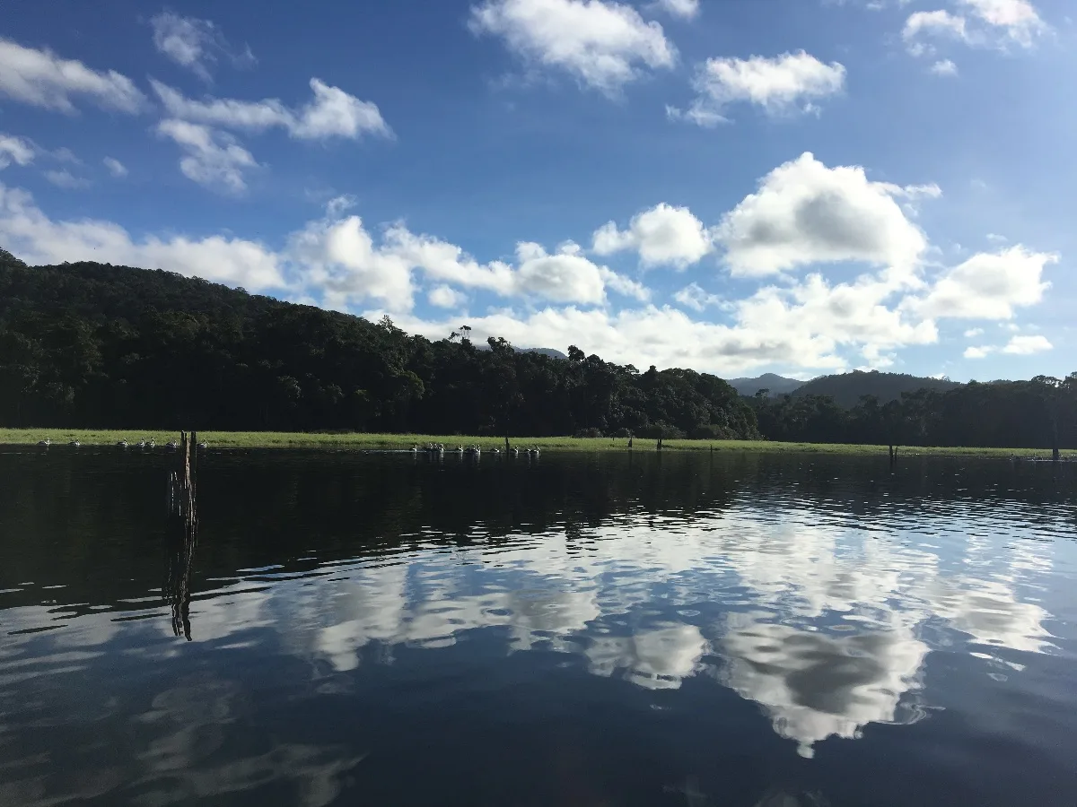 Memory from Lake Tinaroo: A Tarnished Gem Worth Polishing