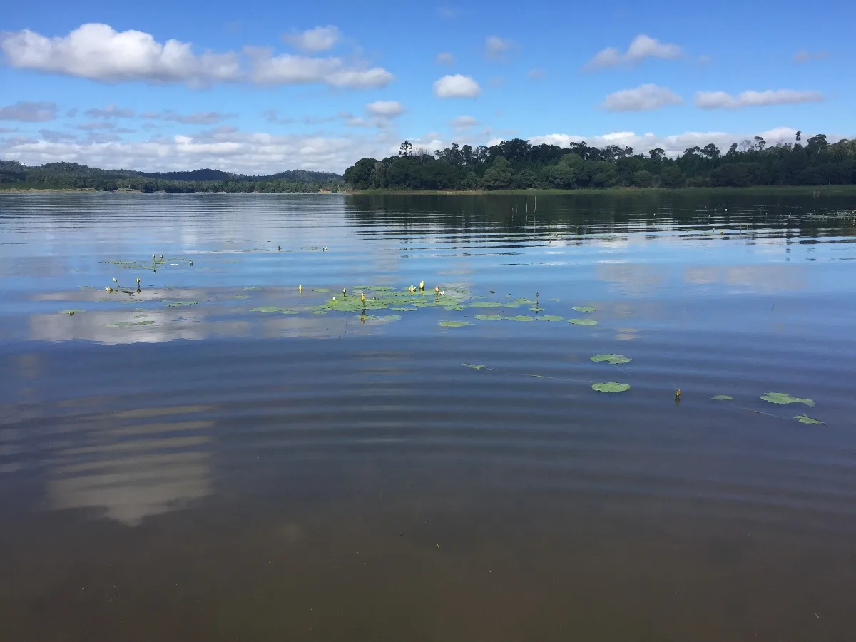 Extra gallery shot from Lake Tinaroo: A Tarnished Gem Worth Polishing