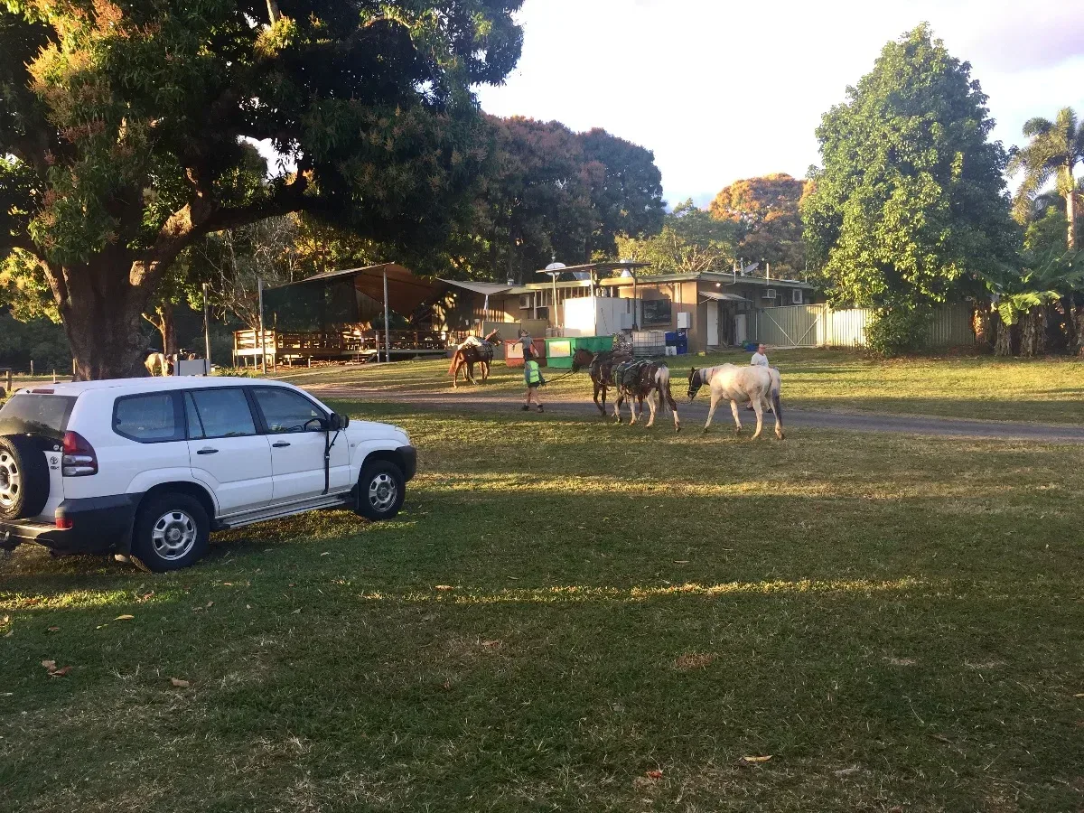 A horseback rider seemingly appears out of nowhere, taking a shortcut across the campsite. Unexpected, to say the least!