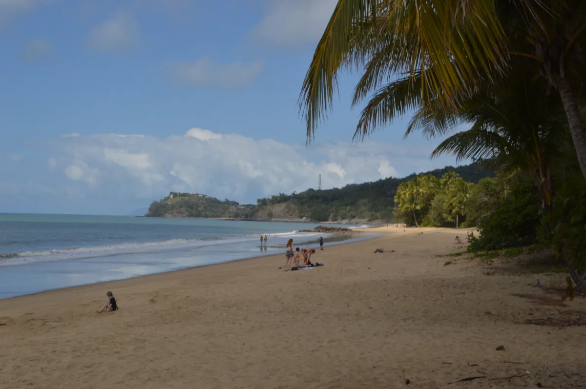 Palm Cove beach offering a relaxing spot with warm waters and white sand.