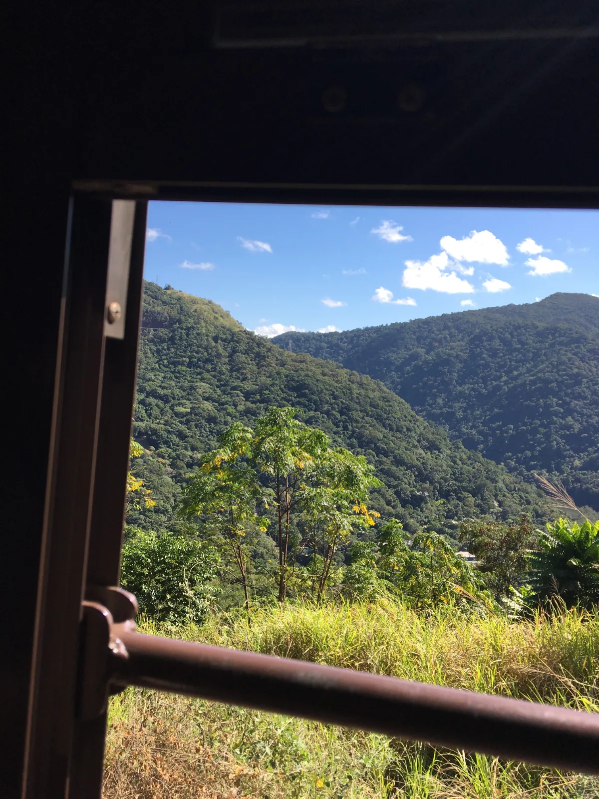 Framing the lush landscape from our train window.