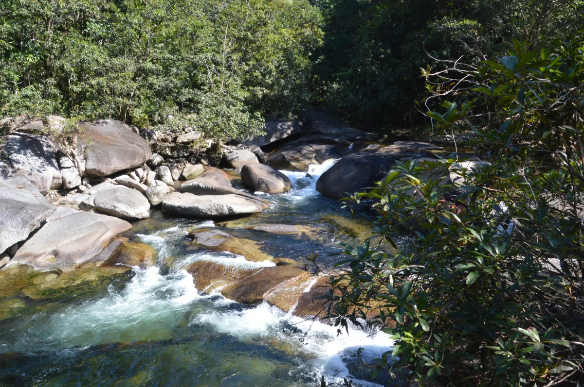 Emerald water flows through the weathered granite of Babinda Boulders.