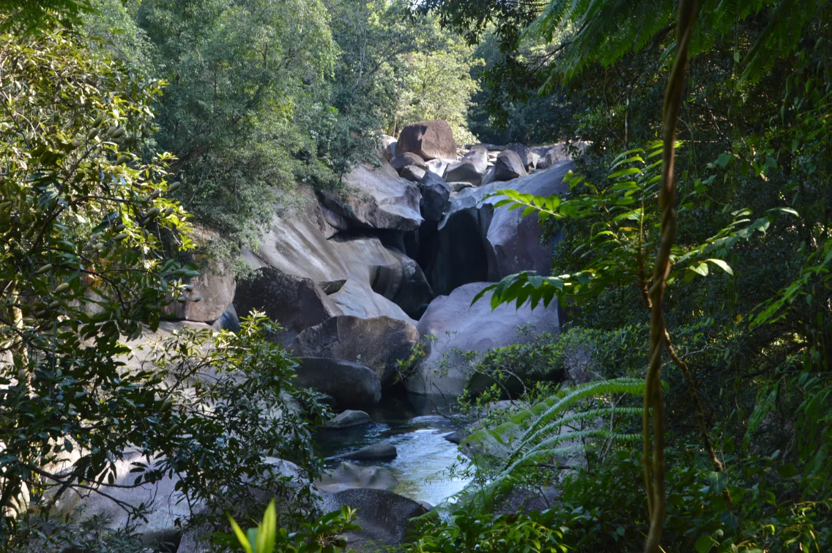 Framed by the rainforest canopy, the boulders create a natural sculpture garden.