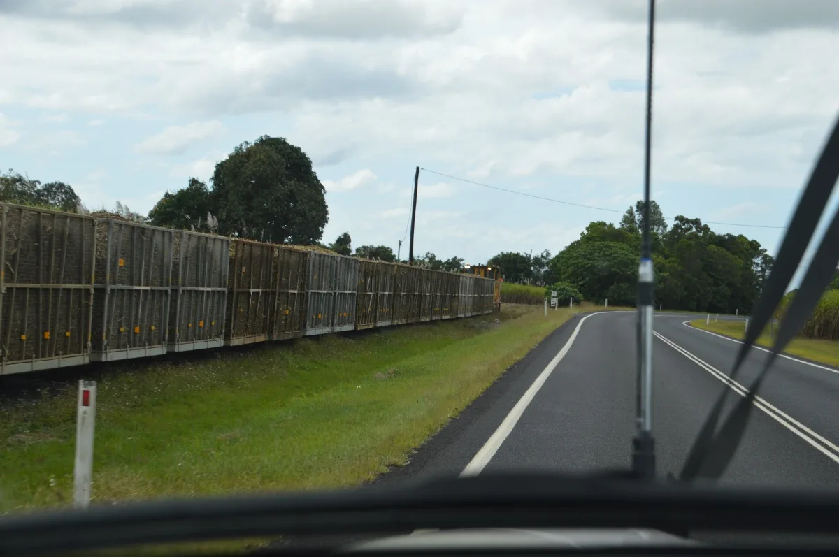 The sugar cane trains trundle along beside the road, laden with their precious cargo.