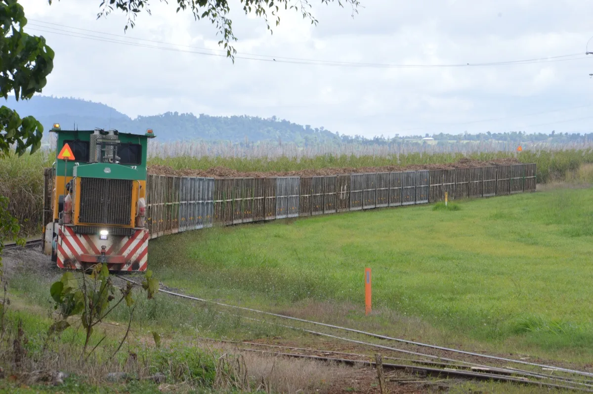 A fully laden sugar cane train rolls slowly through the countryside near South Johnstone.