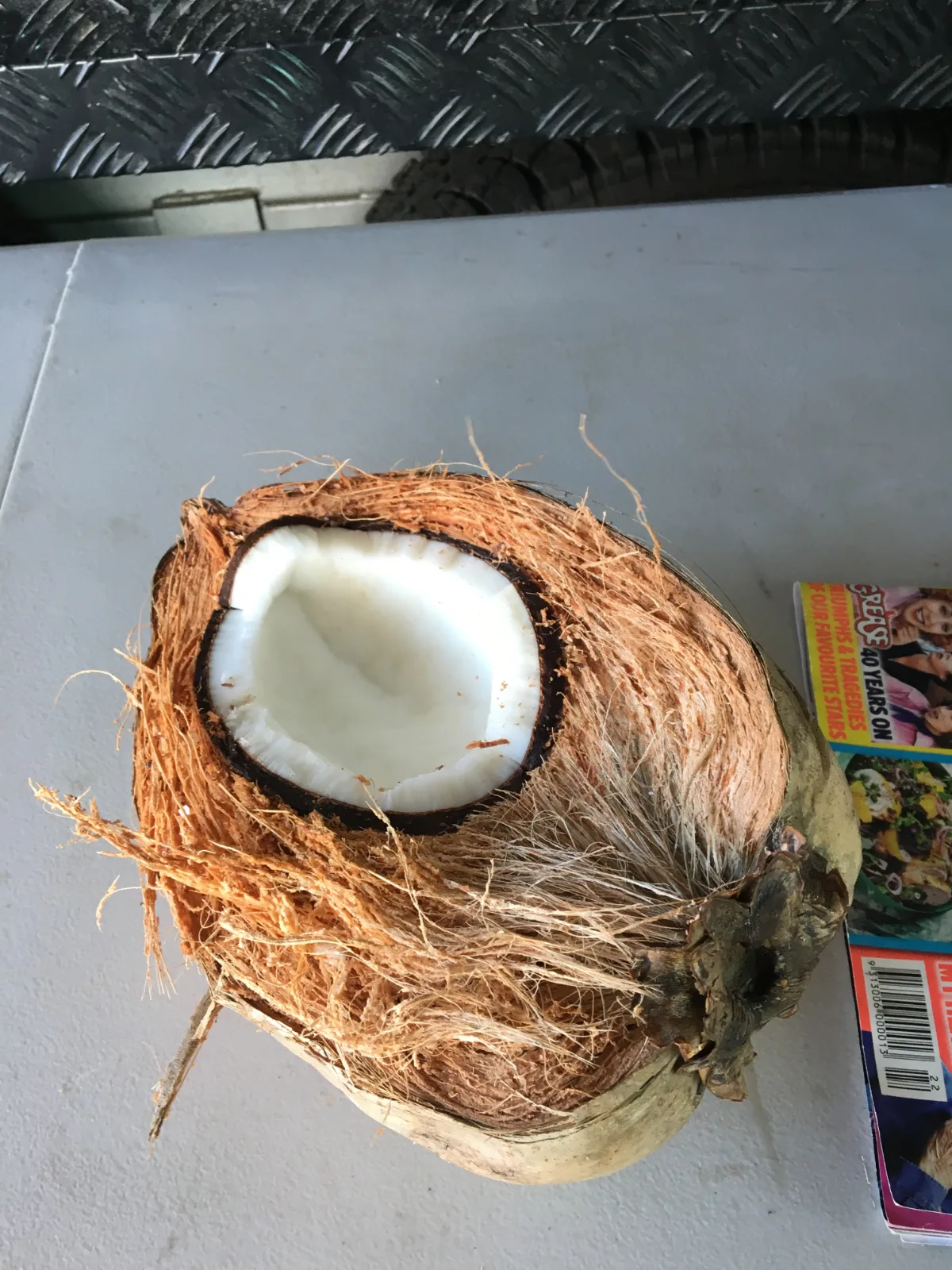 The spoils of our Kurrimine coconut harvest: ready for consumption.