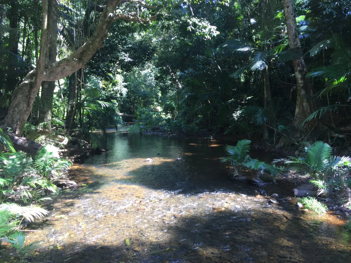 The trail led to a refreshing creek, a welcome sight on a warm day.