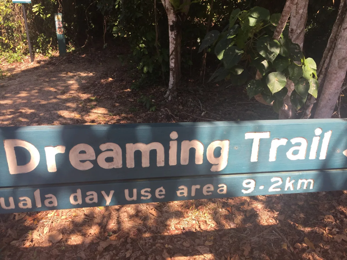 The starting point of our bush walk, aptly named the