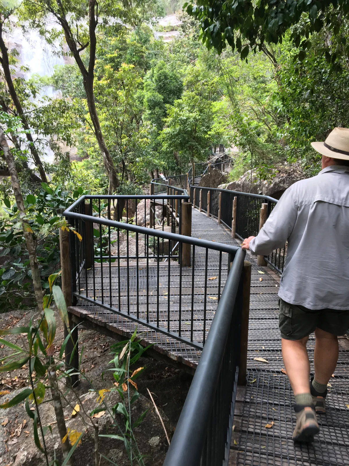 An accessible walkway leads through the lush rainforest to the viewing platforms.