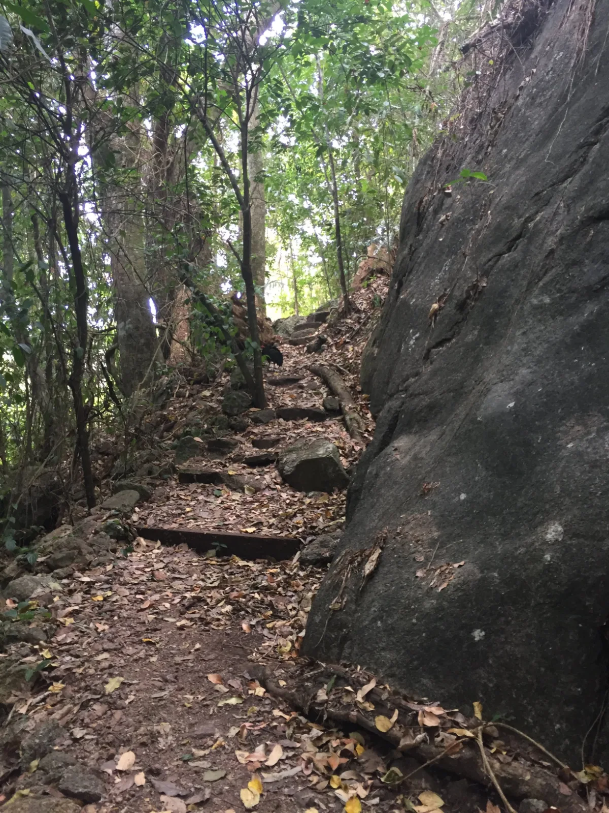 The climb up to the top falls...worth every step!
