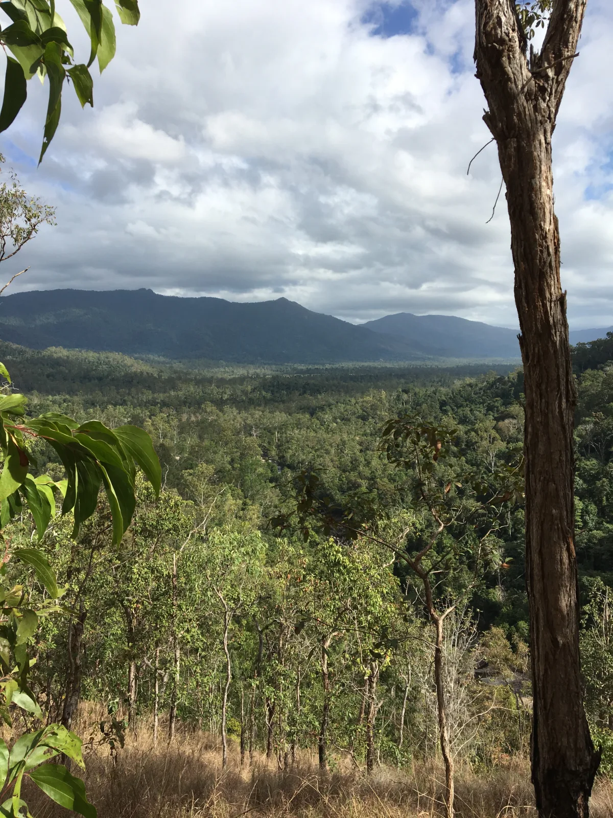Panoramic views from Murray Falls, a truly stunning part of Queensland.