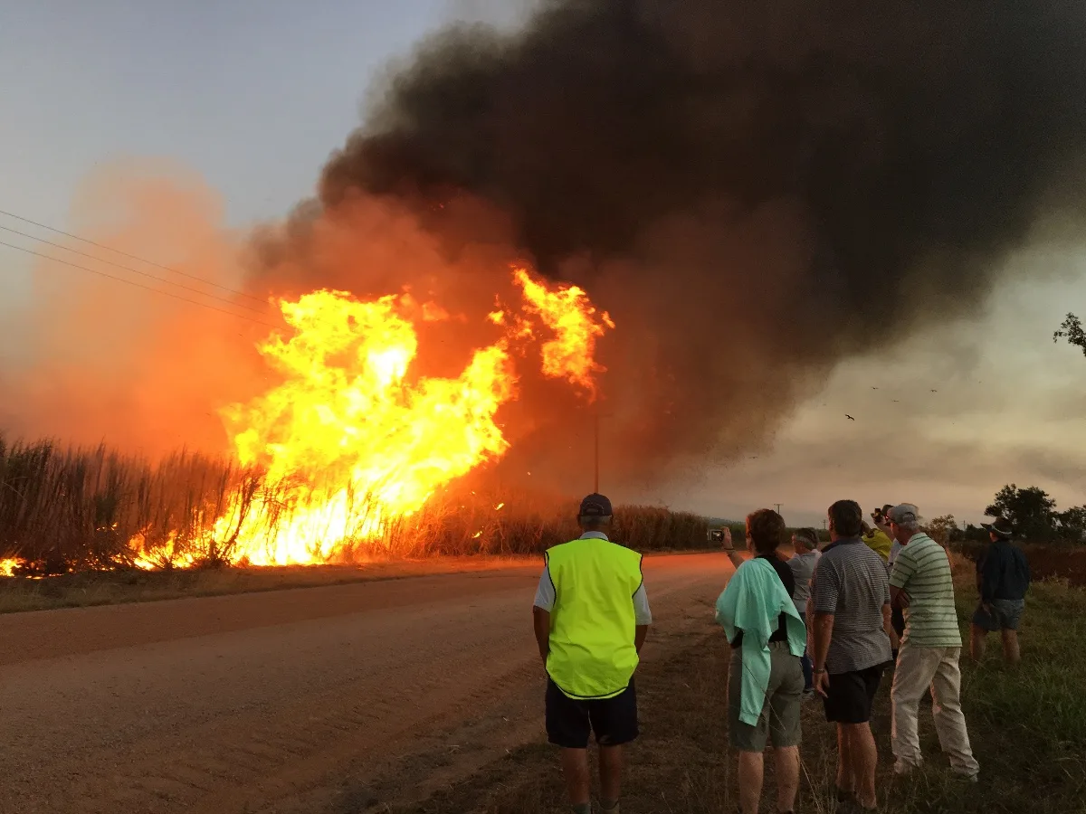 Memory from Burdekin Burns: A Sweet and Fiery Farm Stay