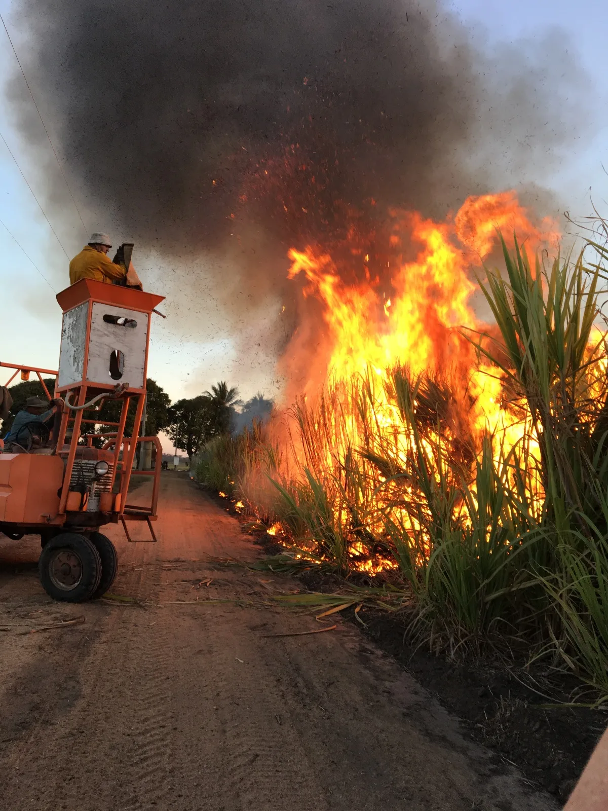 Extra gallery shot from Burdekin Burns: A Sweet and Fiery Farm Stay