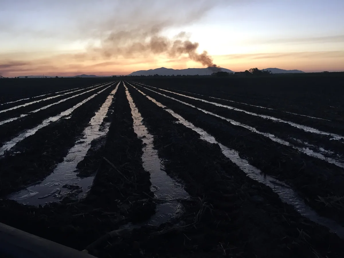 Extra gallery shot from Burdekin Burns: A Sweet and Fiery Farm Stay