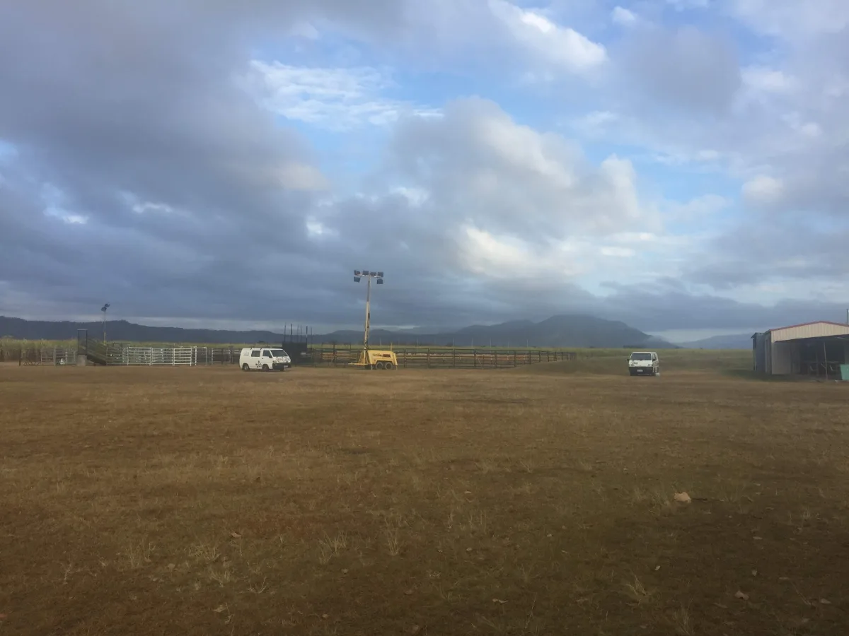 A wide shot of a field in Gargett, Queensland. The mountains loom in the background as the weather threatens rain.