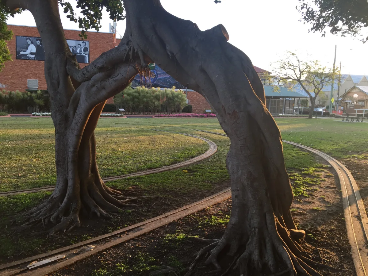 Miniature railway lines weave among the trees, sparking the imagination in Maryborough park.