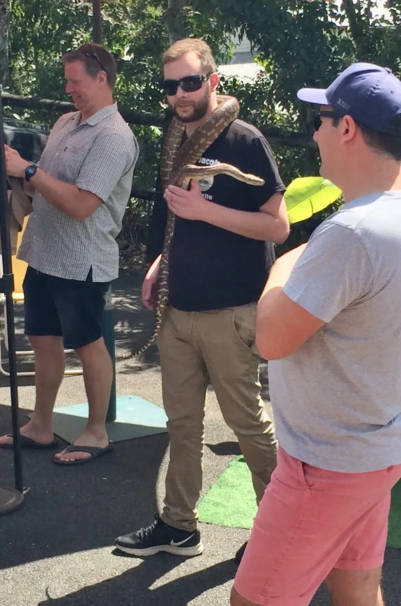 A market-goer casually sporting a large snake as an accessory.