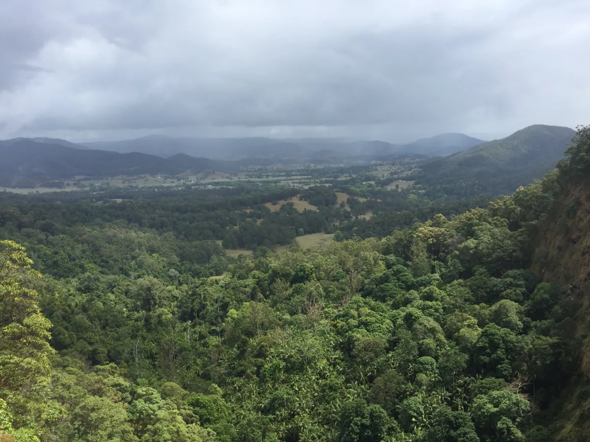The expansive view from Mapleton Falls lookout stretches across the lush valley below.