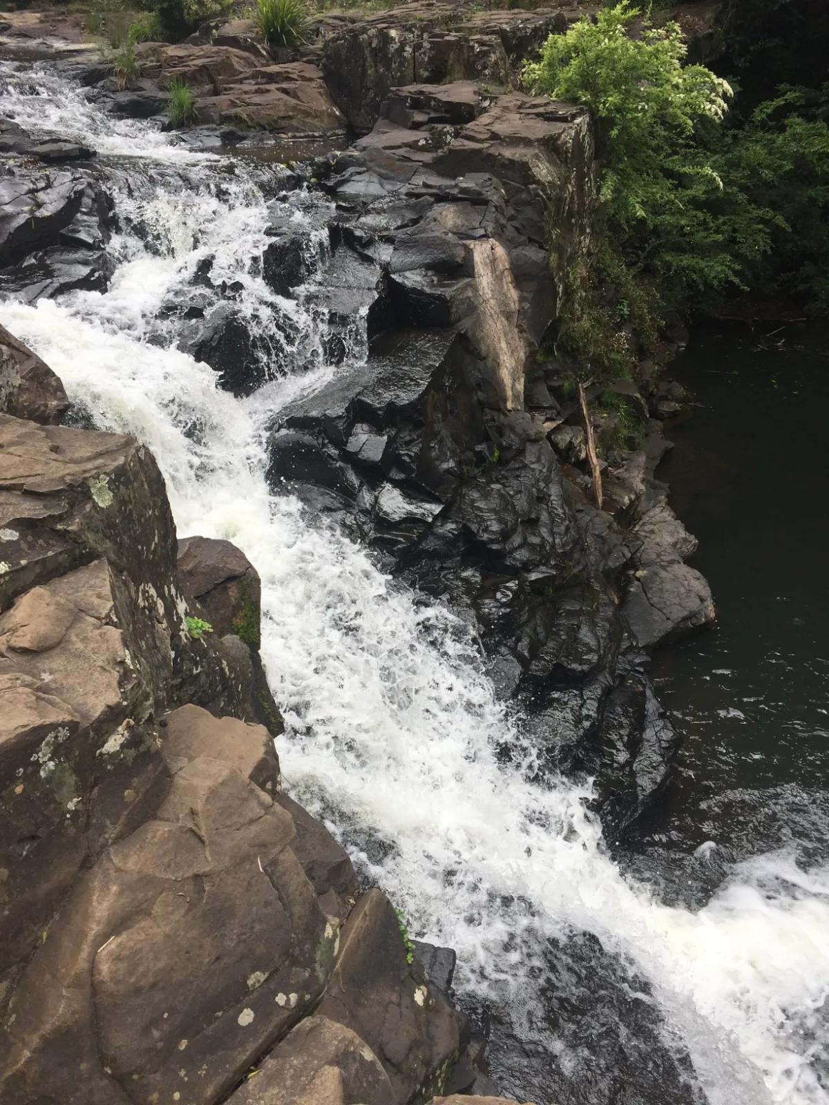 The rugged beauty of one of the Sunshine Coast's many waterfalls. A refreshing escape from the heat.