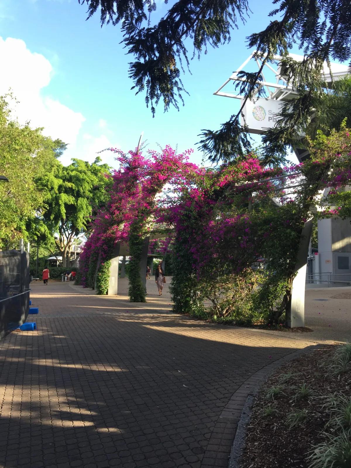 Extra gallery shot from South Brisbane's Charms: A Riverside Ramble