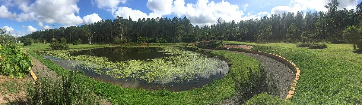 A tranquil pond, providing a peaceful focal point for residents and visitors alike.