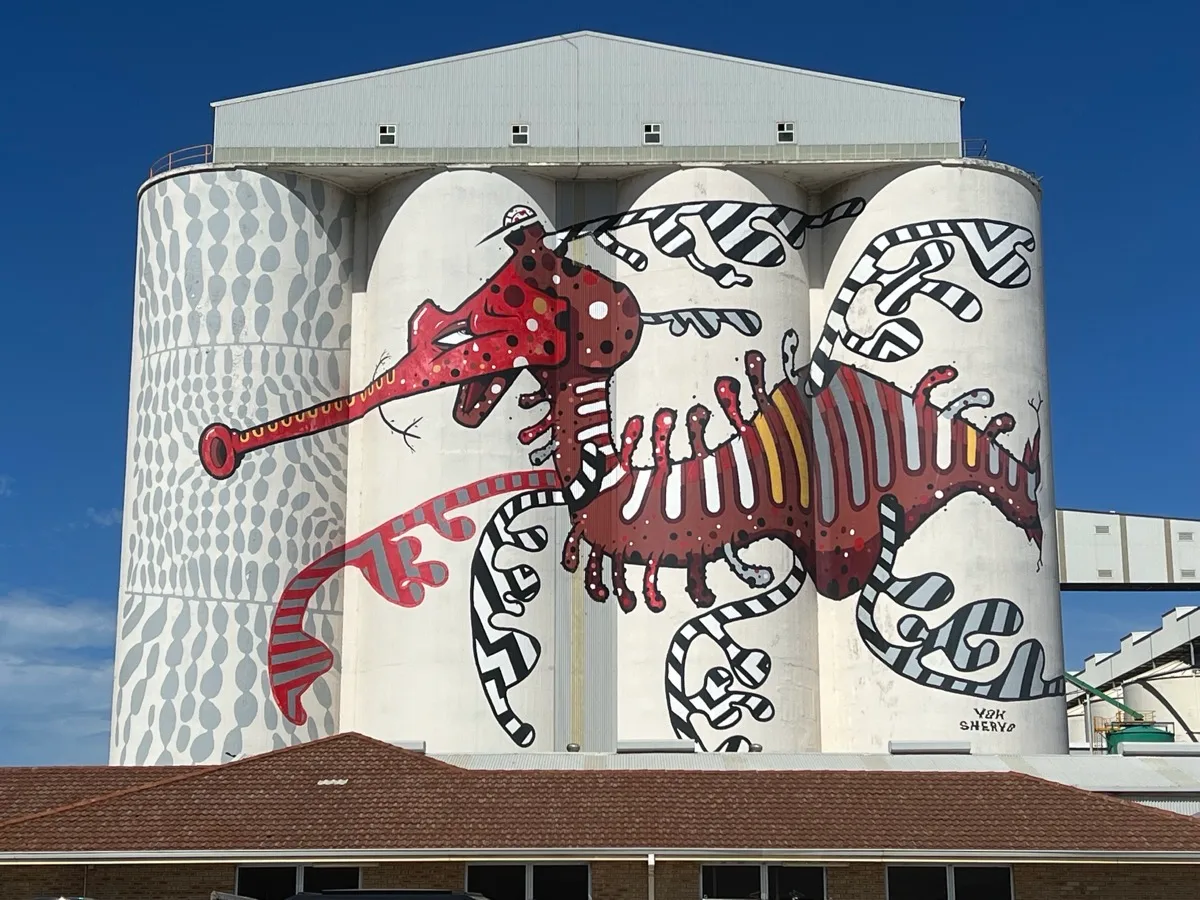 Stunning silo art brings Indigenous storytelling to life