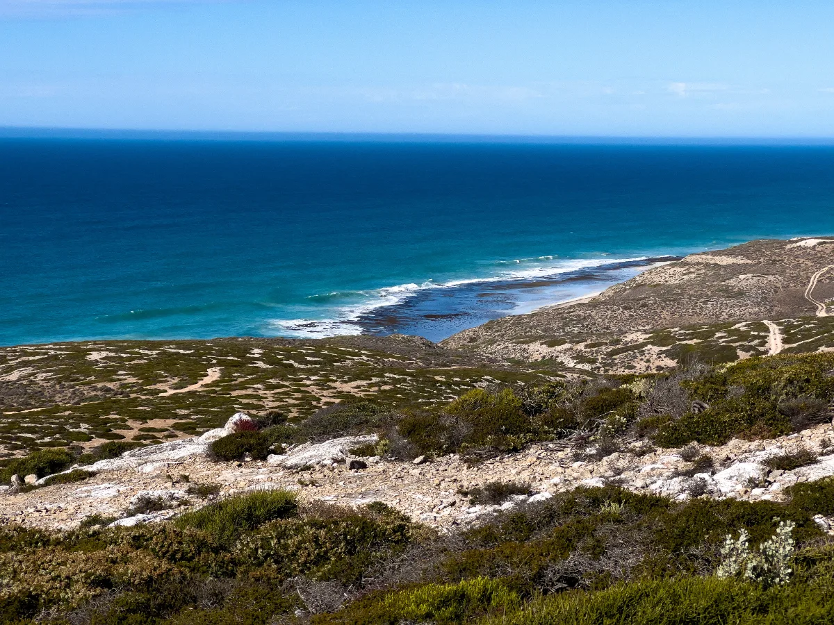A panoramic view from Bight Lookout No. 2, showcasing the raw beauty of the Australian coastline.